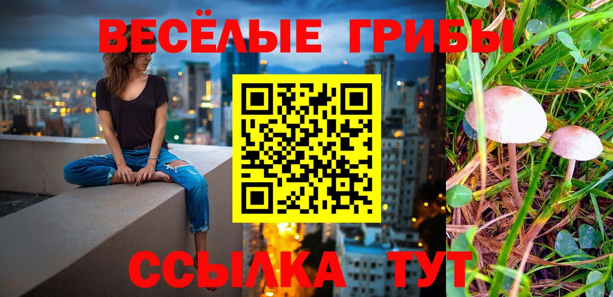 Галлюциногенные грибы GOLDEN TEACHER  Вход с VPN  наркотики  Евпатория 