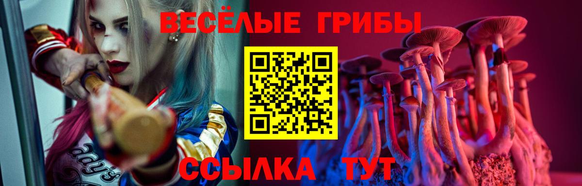 Галлюциногенные грибы мицелий Евпатория
